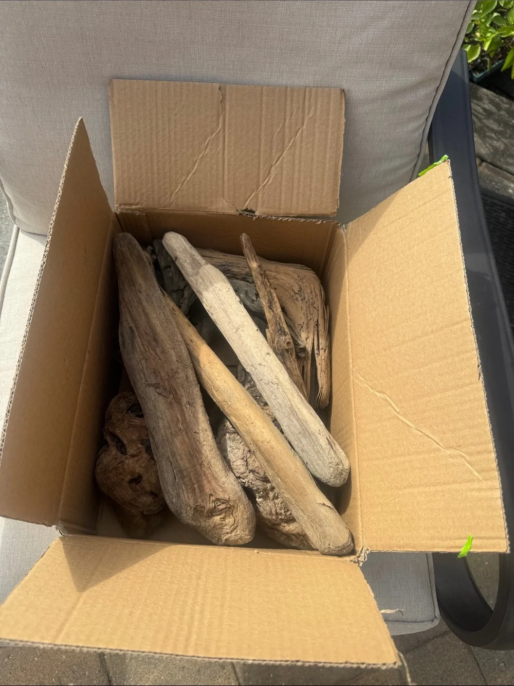 11 pc (5lbs shipped) Natural Driftwood Decorative Accent Pieces-craft & display